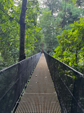 suspension bridge