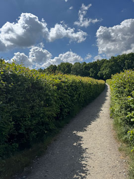 pathway