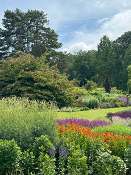 Harlow Carr