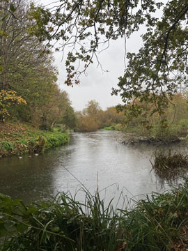 river wandle