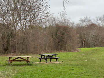 picnic benches