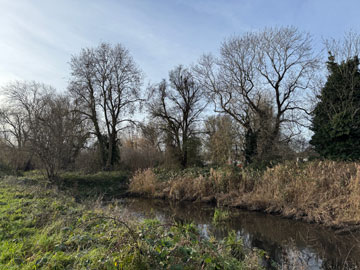 River Cray