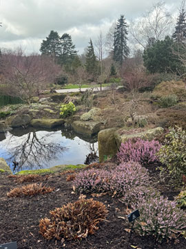 Harlow Carr
