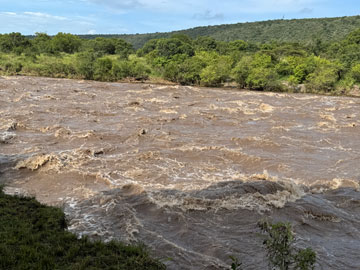 Mara River