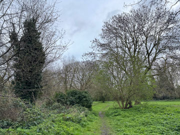 river bank