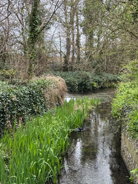 river cray