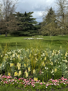 flower garden