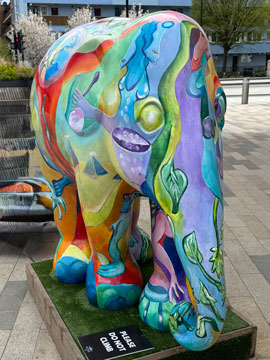 elephant