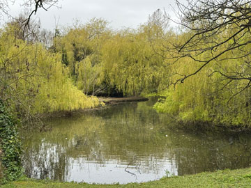 Priory Gardens