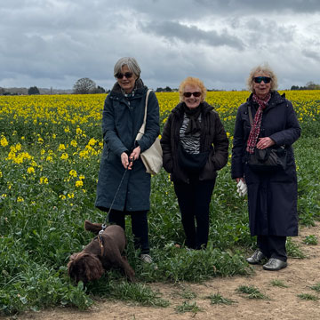 walkers