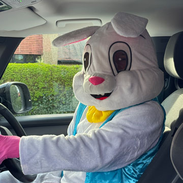 Steve Easter Bunny