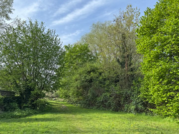park