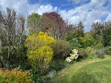 garden