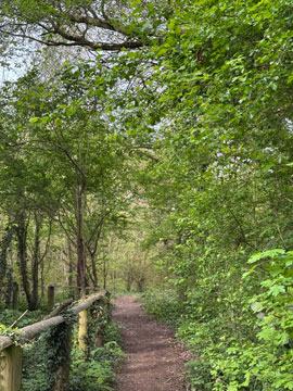 path