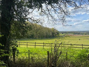 meadows