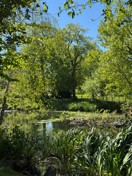 lake