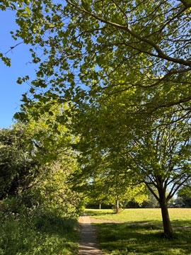 park
