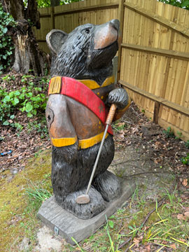 bear