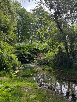 River Cray