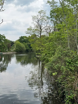 lake