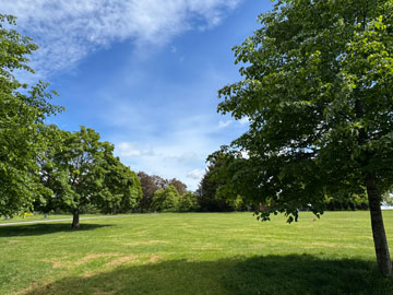 park