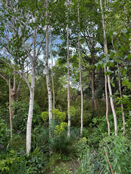 garden 2