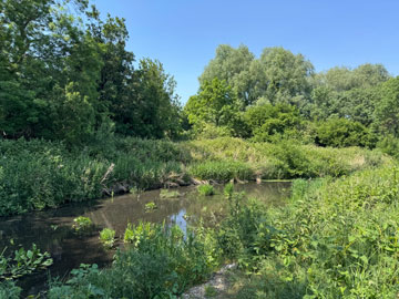 River Cray