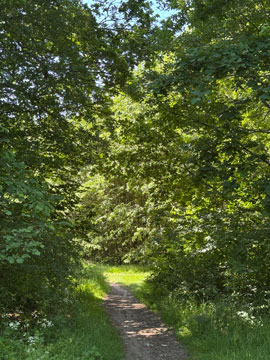 park
