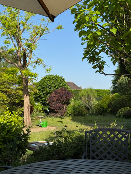 view of garden