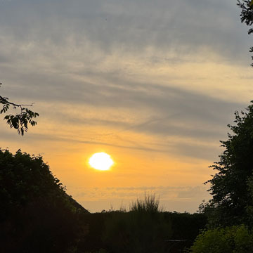 sunset