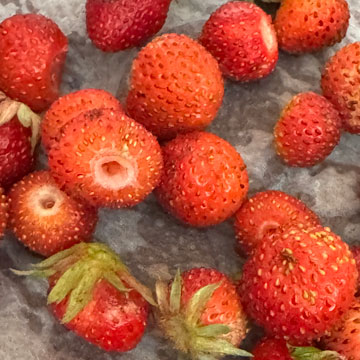 strawberries