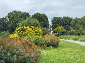 park