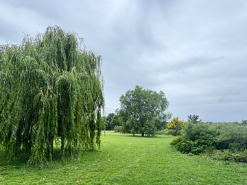 park