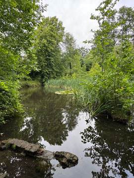 pond