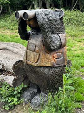 bear