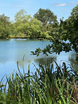 lake