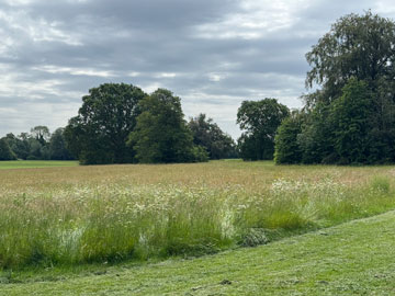 park