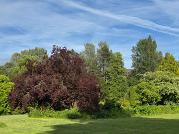 park