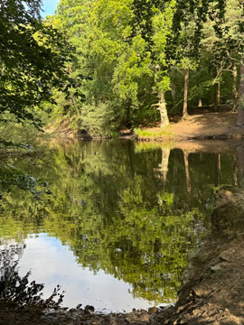 pond