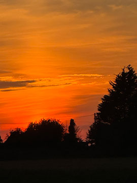 sunset