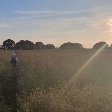 me in rape field