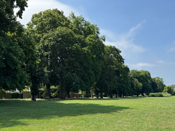 park