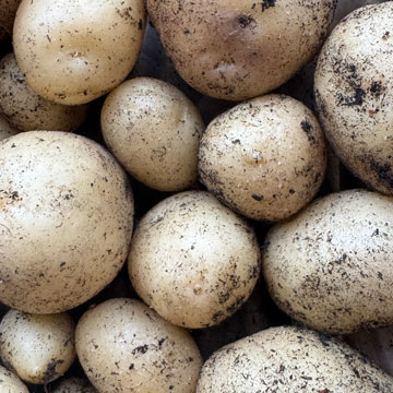 potatoes