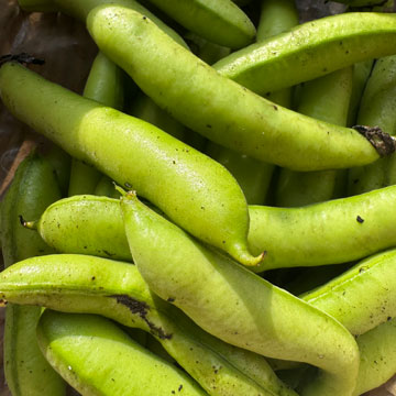 beans