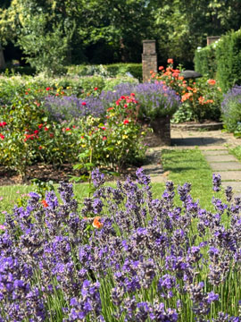 gardens