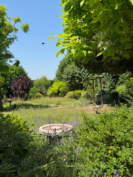 garden