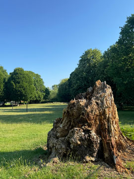 park