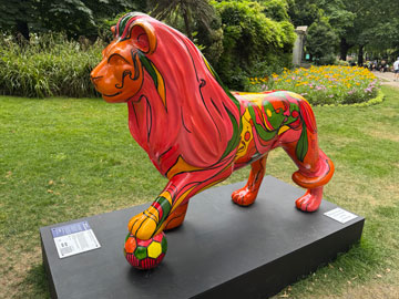 lion