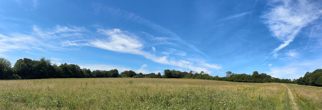 meadows