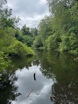 pond